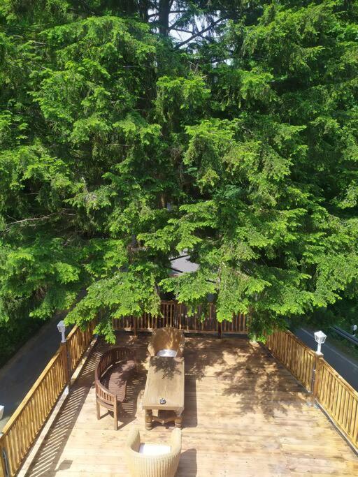 Haus Am Wald Zorge 16+ Gaeste Walkenried Екстер'єр фото