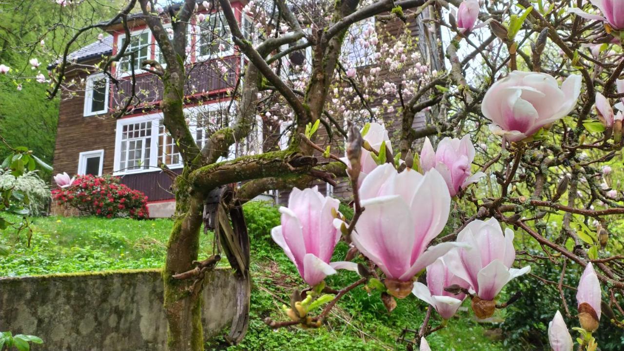Haus Am Wald Zorge 16+ Gaeste Walkenried Екстер'єр фото